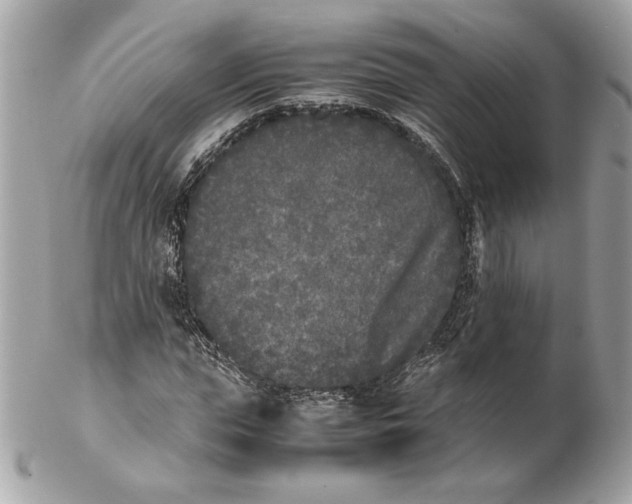 X0000102470823200808291602