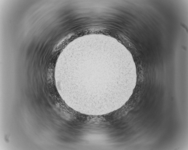 X0000102470824200808291602