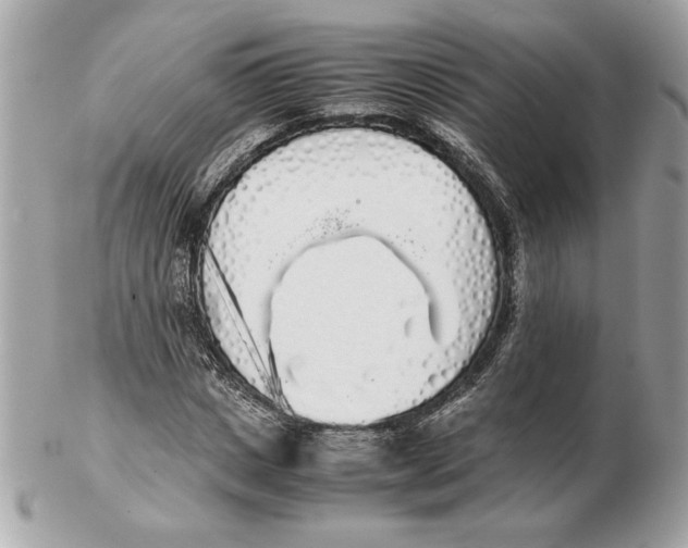 X0000102470825200808291602