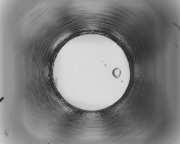 X0000102470826200808291602