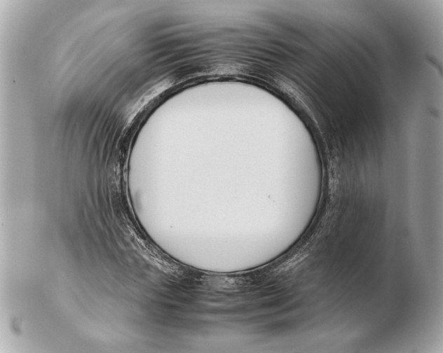 X0000102470827200808291602