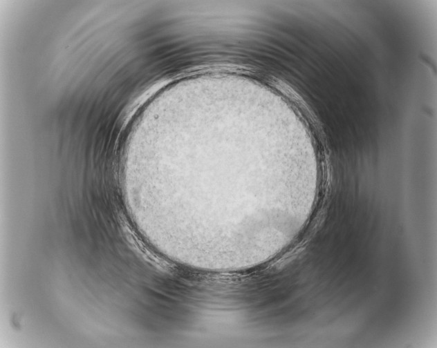 X0000102470828200808291602