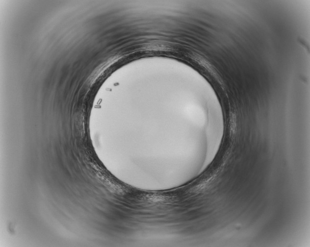 X0000102470829200808291602