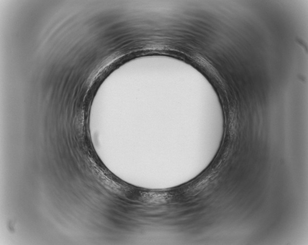 X0000102470831200808291602
