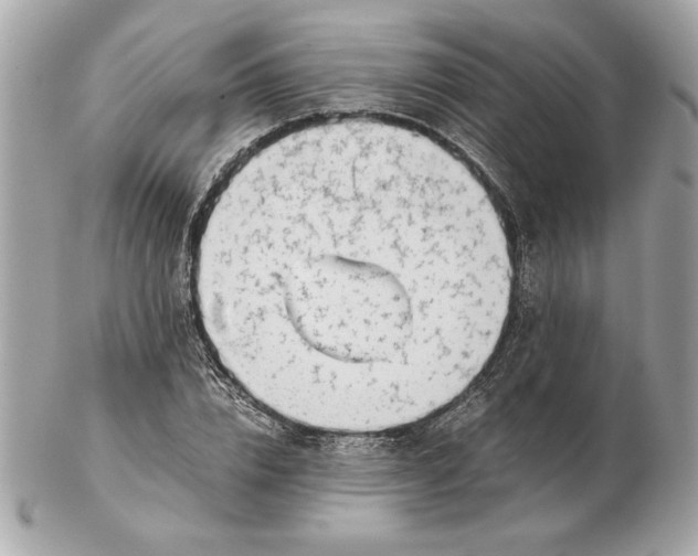 X0000102470832200808291602