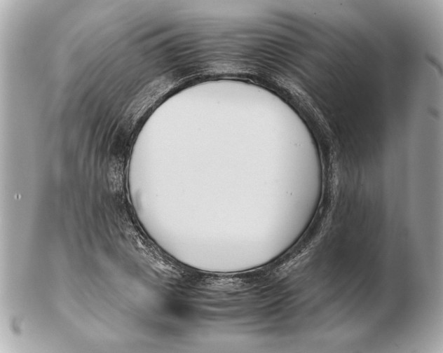 X0000102470833200808291602