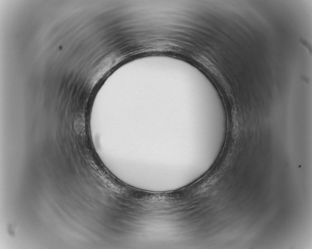 X0000102470834200808291602