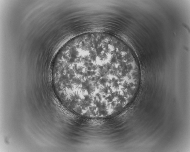 X0000102470835200808291602