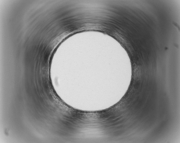 X0000102470836200808291602