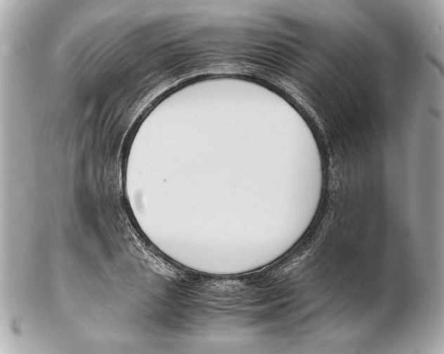 X0000102470837200808291602