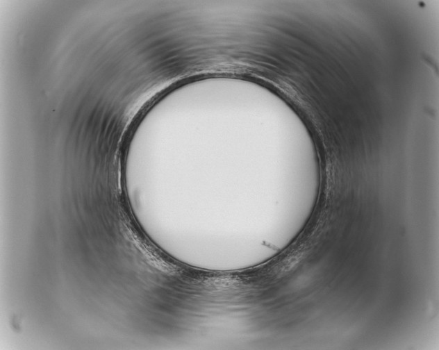 X0000102470838200808291602