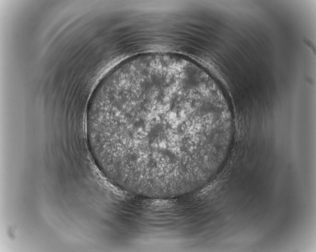 X0000102470839200808291602