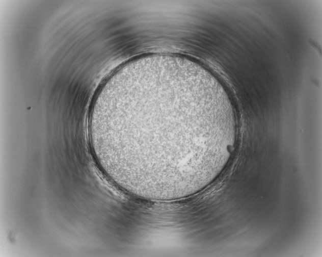 X0000102470840200808291602