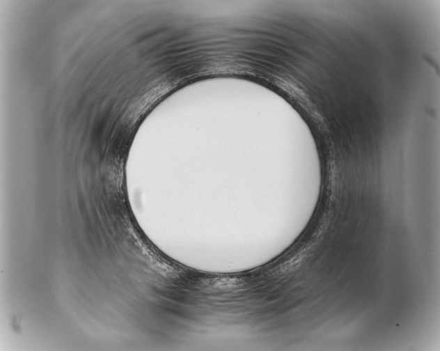 X0000102470841200808291602
