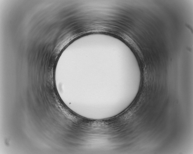 X0000102470842200808291602