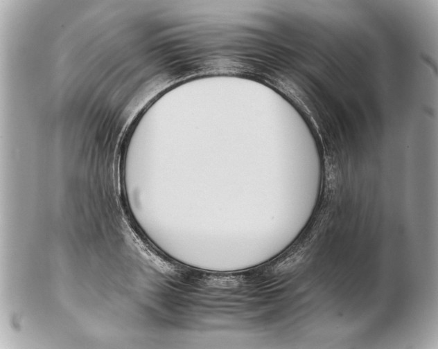 X0000102470843200808291602