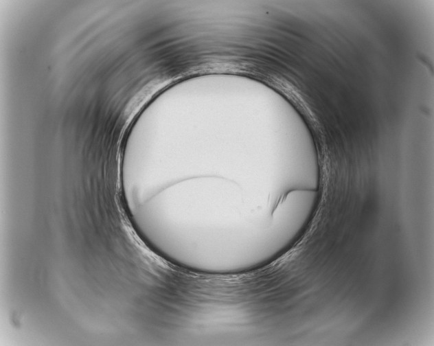X0000102470844200808291602