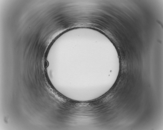 X0000102470846200808291602
