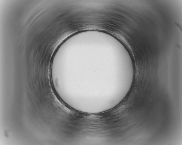 X0000102470847200808291602