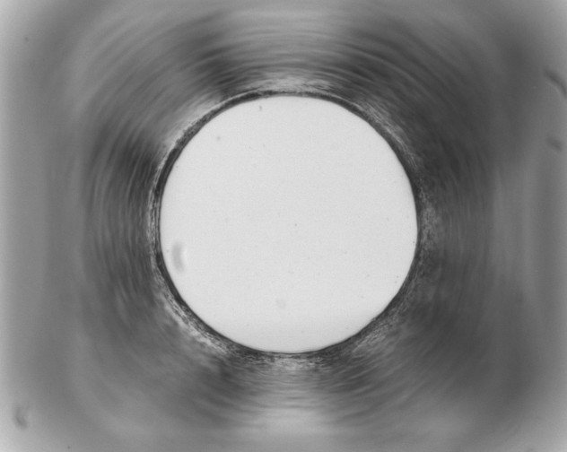 X0000102470848200808291602