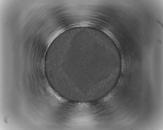 X0000102470850200808291602