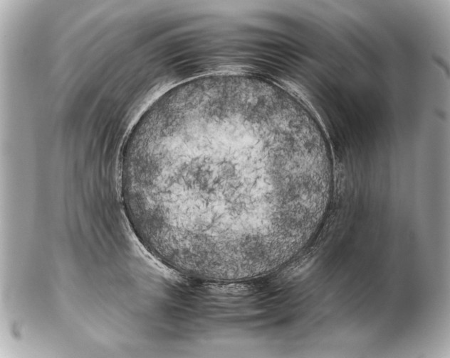 X0000102470851200808291602