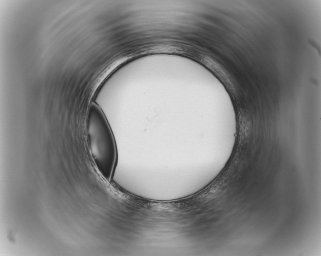 X0000102470852200808291602