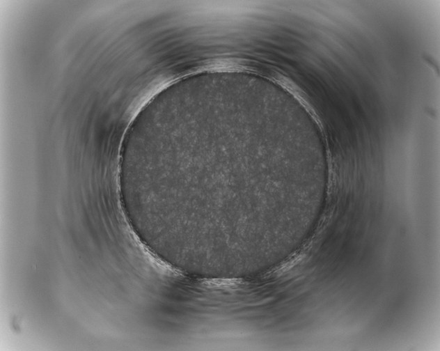 X0000102470853200808291603