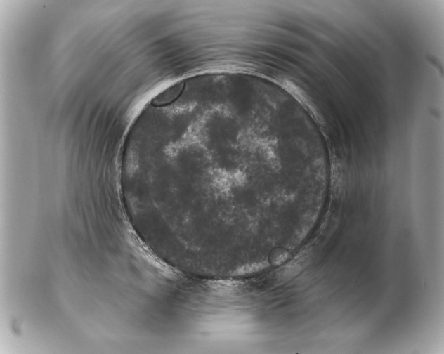 X0000102470854200808291603