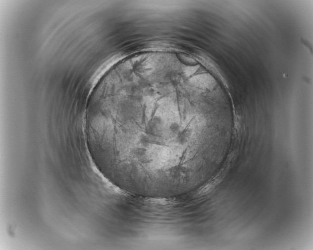 X0000102470855200808291603