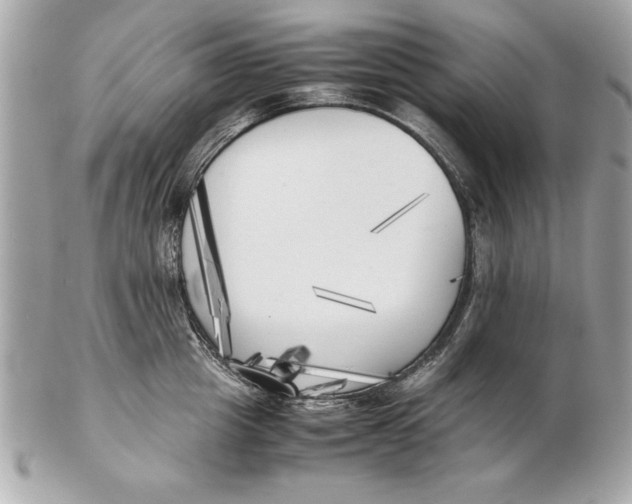 X0000102470857200808291603