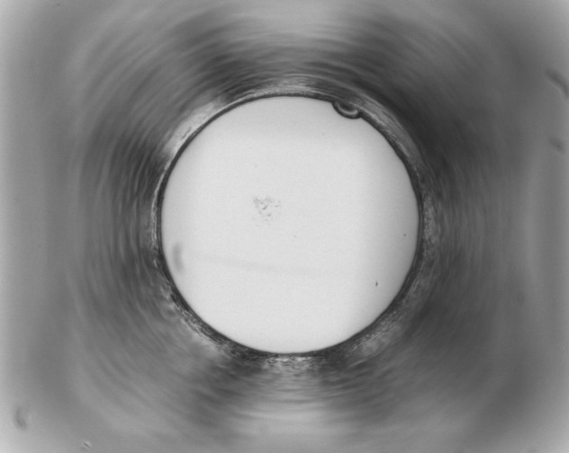 X0000102470858200808291603