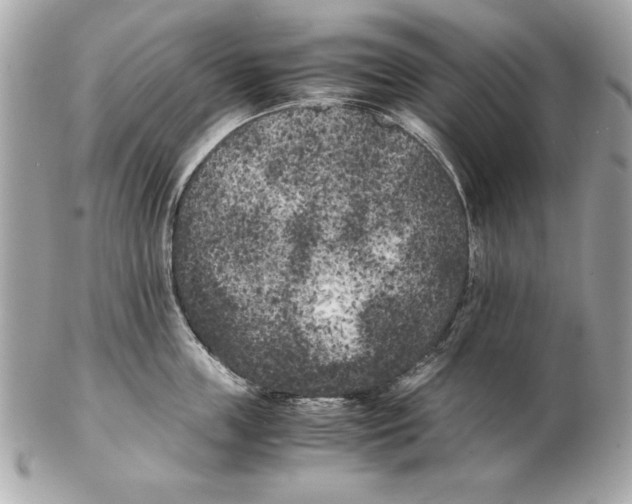 X0000102470859200808291603