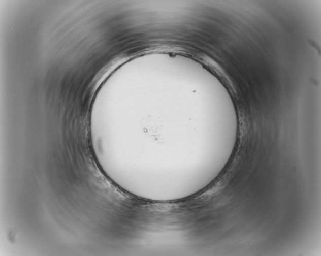 X0000102470860200808291603