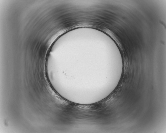 X0000102470861200808291603