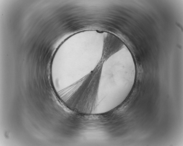 X0000102470862200808291603