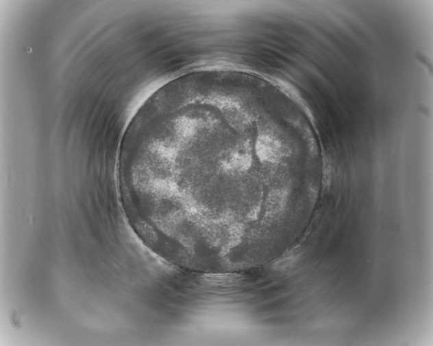 X0000102470863200808291603
