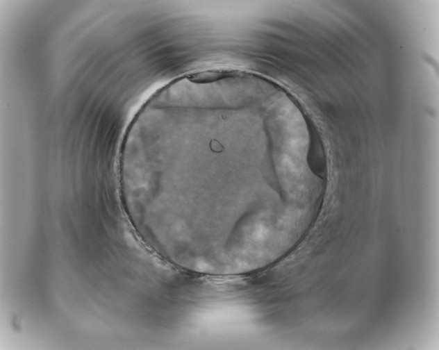 X0000102470864200808291603