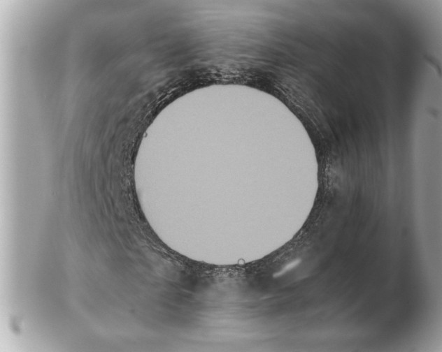 X0000102470865200808291602
