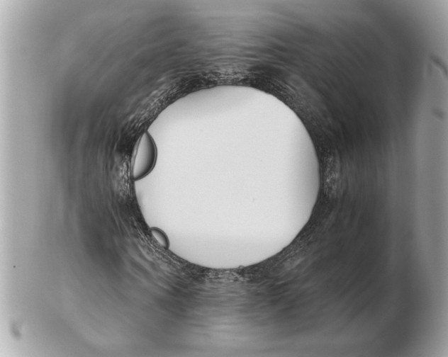 X0000102470866200808291602