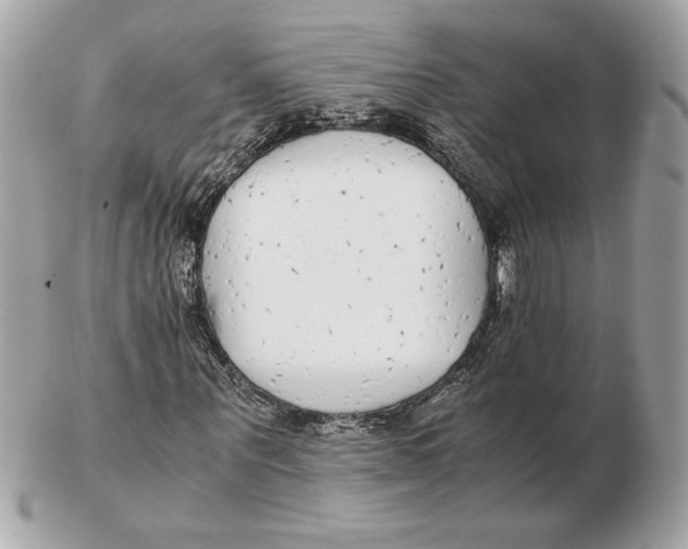 X0000102470867200808291602
