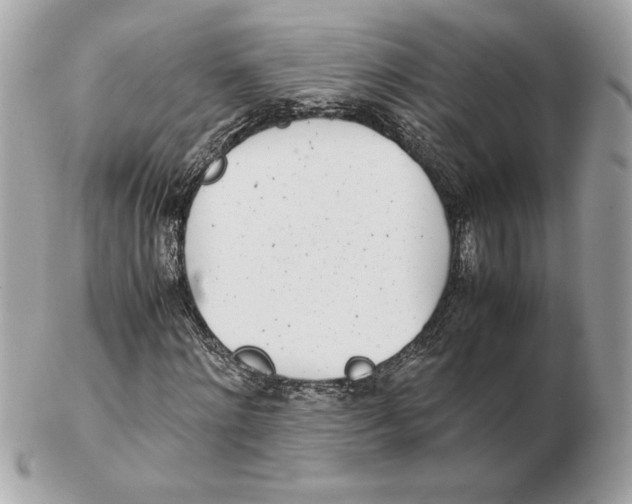 X0000102470868200808291602