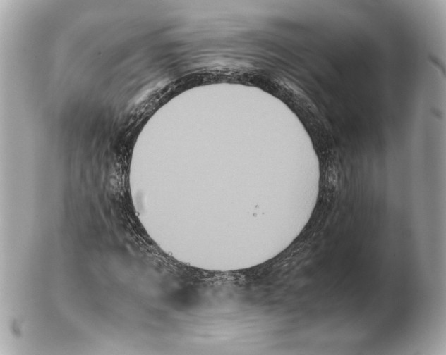 X0000102470869200808291602