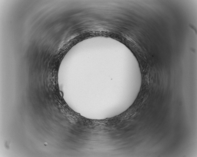 X0000102470870200808291602