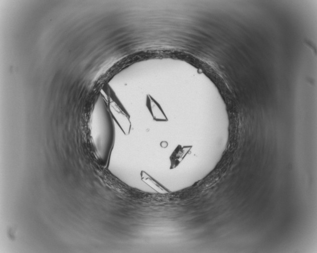 X0000102470871200808291602
