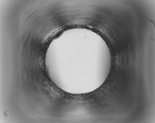 X0000102470872200808291602