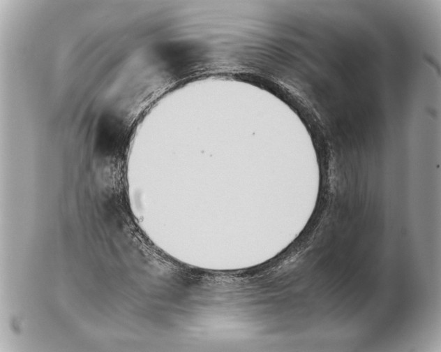 X0000102470873200808291602