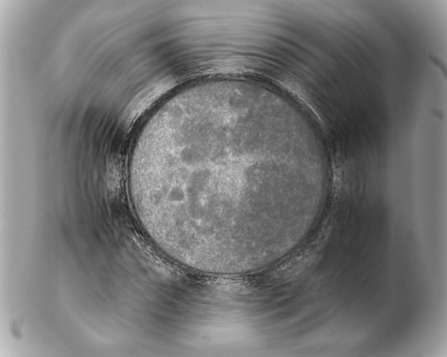 X0000102470874200808291602
