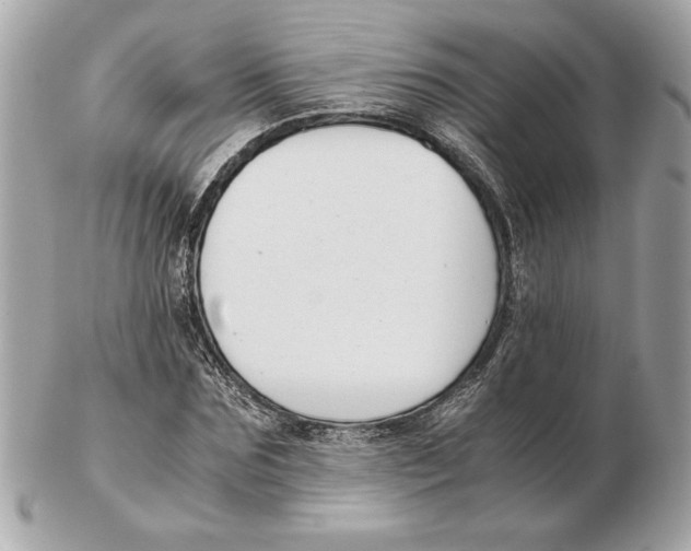 X0000102470875200808291602