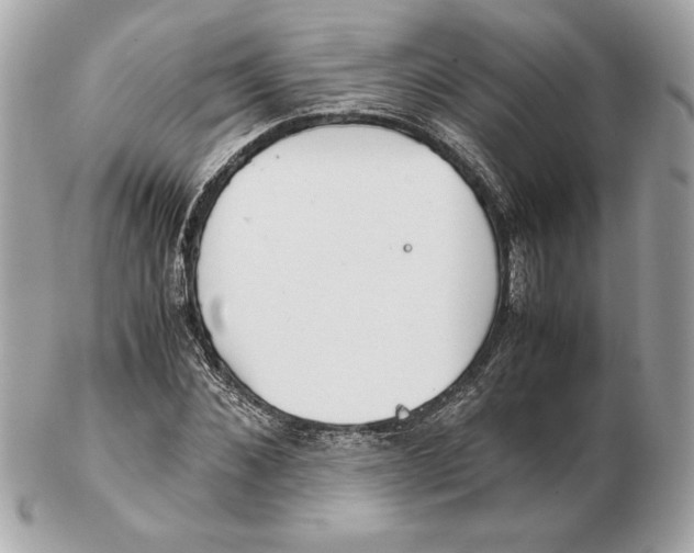 X0000102470876200808291602